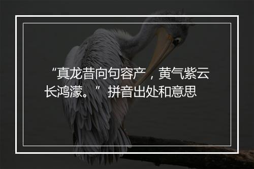 “真龙昔向句容产，黄气紫云长鸿濛。”拼音出处和意思