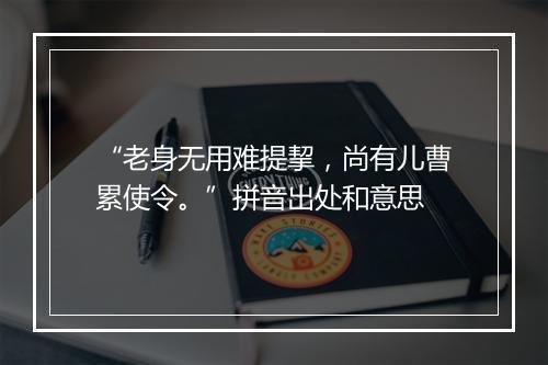 “老身无用难提挈，尚有儿曹累使令。”拼音出处和意思