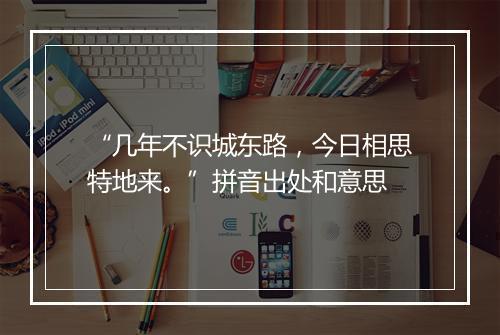 “几年不识城东路，今日相思特地来。”拼音出处和意思