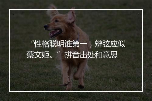 “性格聪明谁第一，辨弦应似蔡文姬。”拼音出处和意思