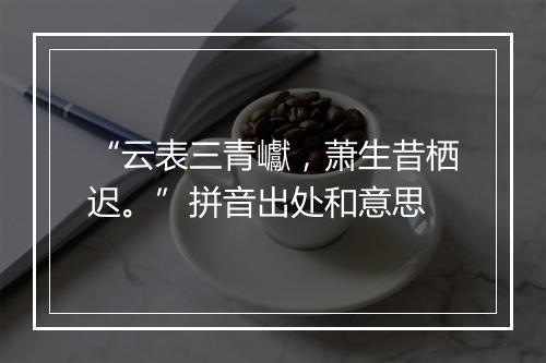 “云表三青巘，萧生昔栖迟。”拼音出处和意思