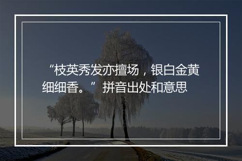 “枝英秀发亦擅场，银白金黄细细香。”拼音出处和意思