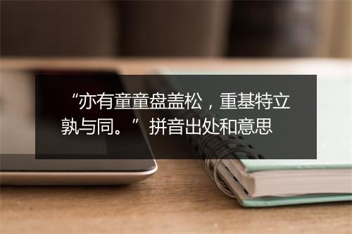 “亦有童童盘盖松，重基特立孰与同。”拼音出处和意思