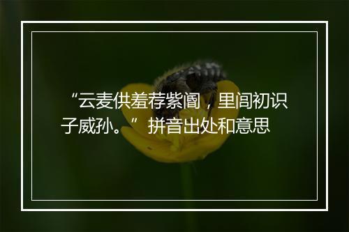 “云麦供羞荐紫阍，里闾初识子威孙。”拼音出处和意思