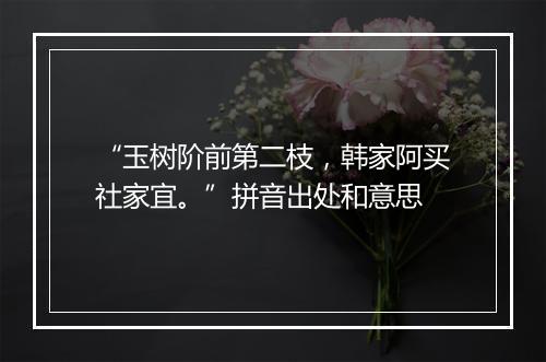 “玉树阶前第二枝，韩家阿买社家宜。”拼音出处和意思