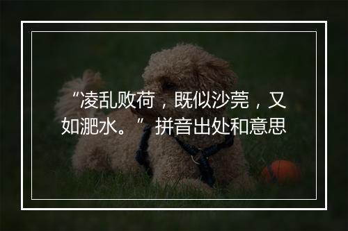 “凌乱败荷，既似沙莞，又如淝水。”拼音出处和意思