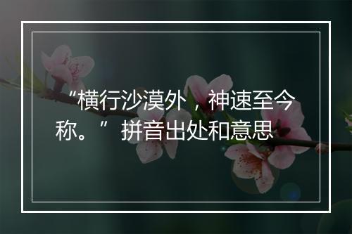 “横行沙漠外，神速至今称。”拼音出处和意思