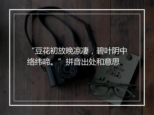 “豆花初放晚凉凄，碧叶阴中络纬啼。”拼音出处和意思