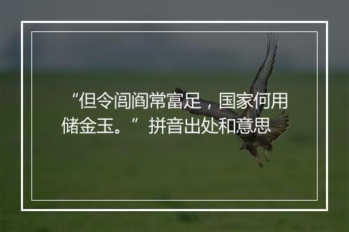 “但令闾阎常富足，国家何用储金玉。”拼音出处和意思