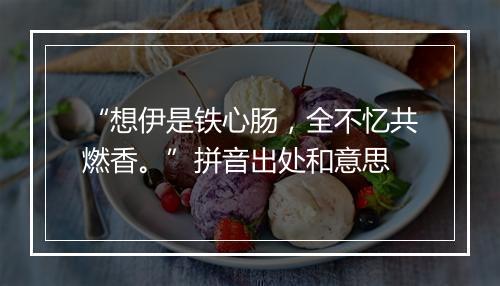 “想伊是铁心肠，全不忆共燃香。”拼音出处和意思