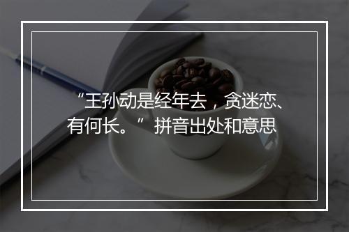 “王孙动是经年去，贪迷恋、有何长。”拼音出处和意思