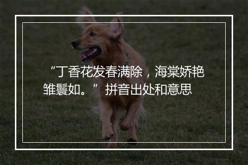 “丁香花发春满除，海棠娇艳雏鬟如。”拼音出处和意思