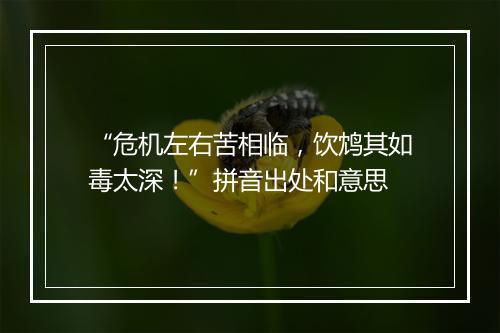 “危机左右苦相临，饮鸩其如毒太深！”拼音出处和意思