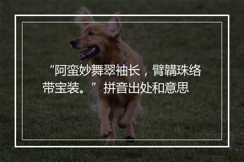 “阿蛮妙舞翠袖长，臂韝珠络带宝装。”拼音出处和意思