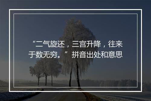 “二气旋还，三宫升降，往来于数无穷。”拼音出处和意思