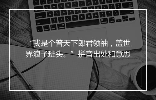 “我是个普天下郎君领袖，盖世界浪子班头。”拼音出处和意思