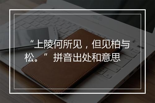 “上陵何所见，但见柏与松。”拼音出处和意思