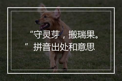 “守灵芽，搬瑞果。”拼音出处和意思