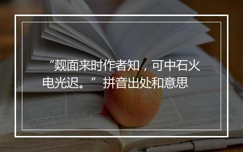 “觌面来时作者知，可中石火电光迟。”拼音出处和意思