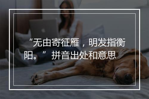 “无由寄征雁，明发指衡阳。”拼音出处和意思