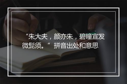 “朱大夫，颜亦朱，碧瞳宣发微髭须。”拼音出处和意思