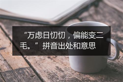 “万虑日忉忉，偏能变二毛。”拼音出处和意思