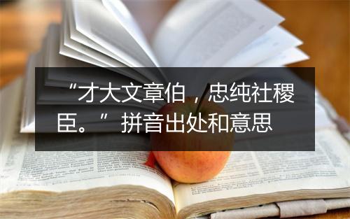 “才大文章伯，忠纯社稷臣。”拼音出处和意思