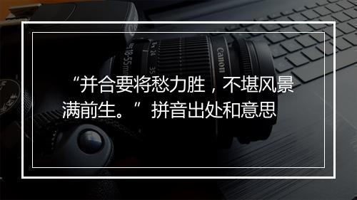 “并合要将愁力胜，不堪风景满前生。”拼音出处和意思