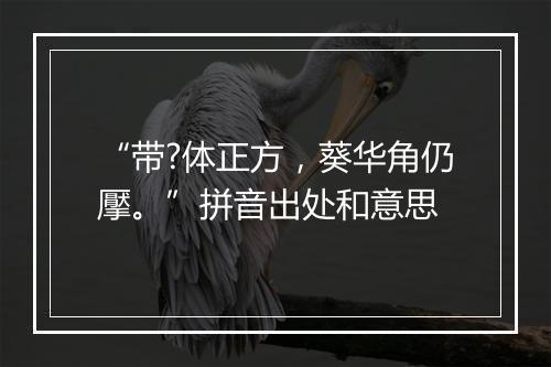 “带?体正方，葵华角仍擪。”拼音出处和意思