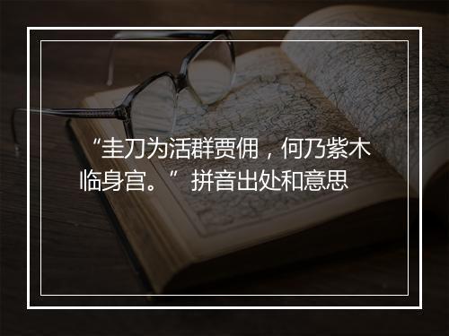 “圭刀为活群贾佣，何乃紫木临身宫。”拼音出处和意思