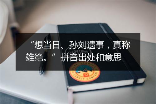 “想当日、孙刘遗事，真称雄绝。”拼音出处和意思