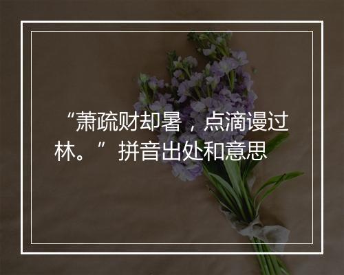 “萧疏财却暑，点滴谩过林。”拼音出处和意思