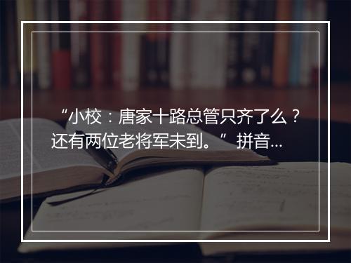 “小校：唐家十路总管只齐了么？还有两位老将军未到。”拼音出处和意思