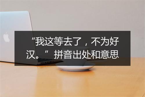 “我这等去了，不为好汉。”拼音出处和意思