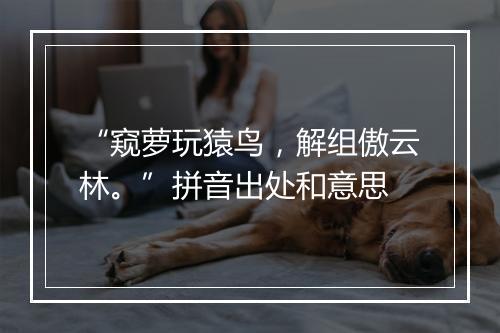 “窥萝玩猿鸟，解组傲云林。”拼音出处和意思