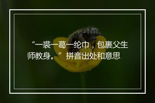 “一裘一葛一纶巾，包裹父生师教身。”拼音出处和意思