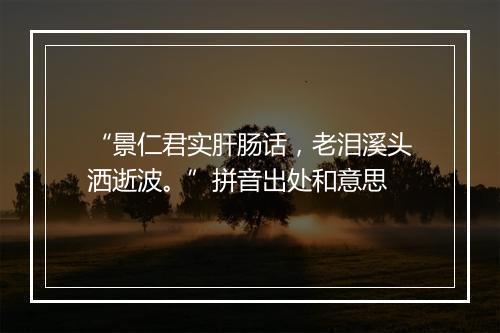 “景仁君实肝肠话，老泪溪头洒逝波。”拼音出处和意思