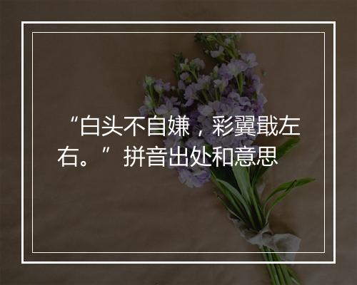 “白头不自嫌，彩翼戢左右。”拼音出处和意思