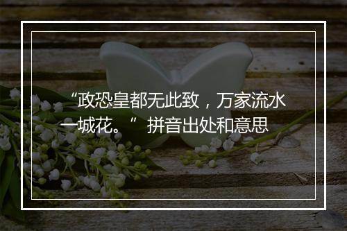 “政恐皇都无此致，万家流水一城花。”拼音出处和意思