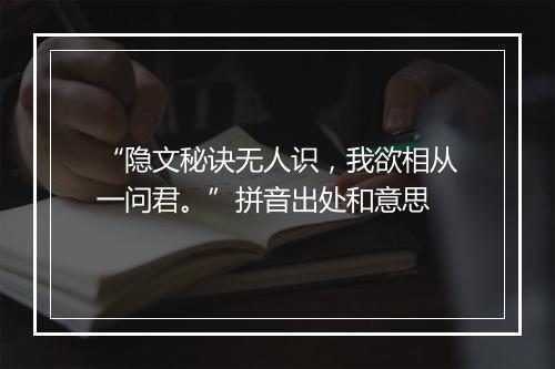 “隐文秘诀无人识，我欲相从一问君。”拼音出处和意思