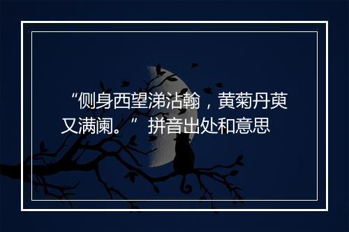 “侧身西望涕沾翰，黄菊丹萸又满阑。”拼音出处和意思