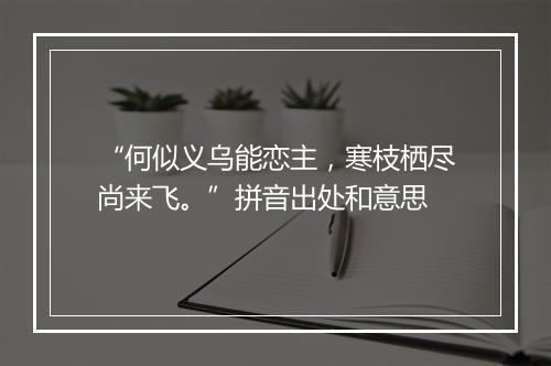 “何似义乌能恋主，寒枝栖尽尚来飞。”拼音出处和意思