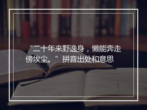 “二十年来野逸身，懒能奔走傍埃尘。”拼音出处和意思