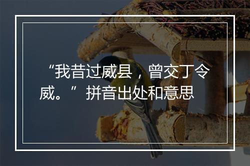 “我昔过威县，曾交丁令威。”拼音出处和意思