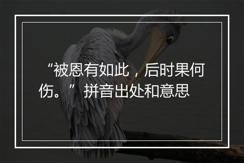 “被恩有如此，后时果何伤。”拼音出处和意思