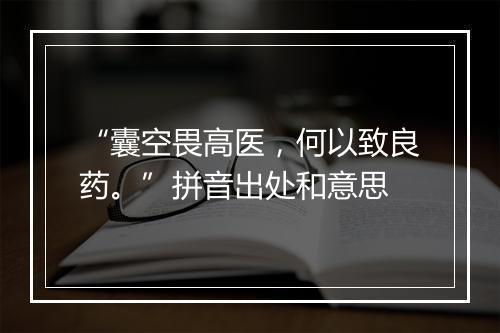 “囊空畏高医，何以致良药。”拼音出处和意思