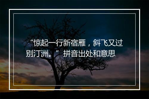 “惊起一行新宿雁，斜飞又过别汀洲。”拼音出处和意思