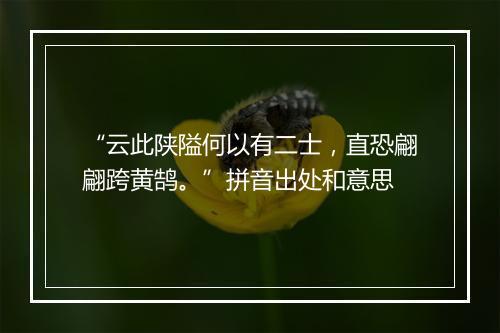 “云此陕隘何以有二士，直恐翩翩跨黄鹄。”拼音出处和意思