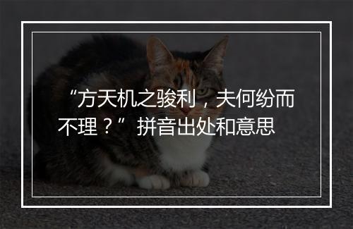 “方天机之骏利，夫何纷而不理？”拼音出处和意思