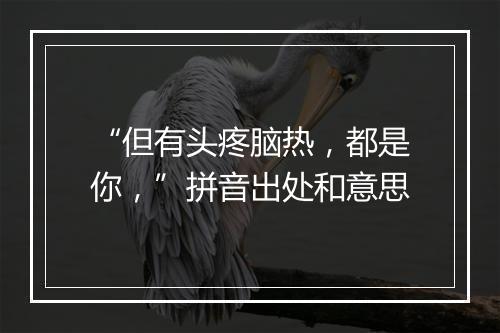 “但有头疼脑热，都是你，”拼音出处和意思